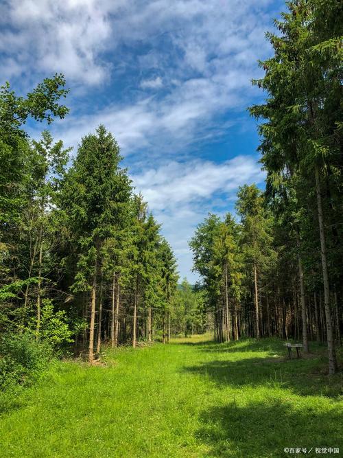 文安县历史最低气温，文安县最冷的时候能达到多少度-第2张图片-屿企百科网