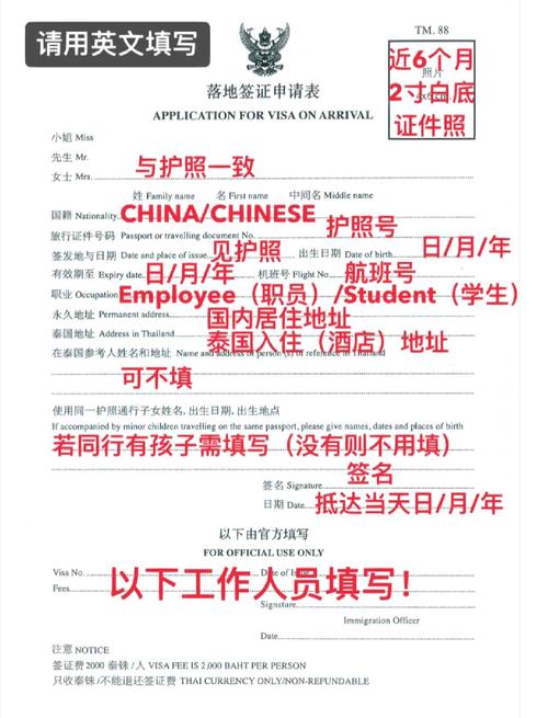 落地签证怎么办理，落地签证怎么办理的国家有多少？-第5张图片-屿企百科网