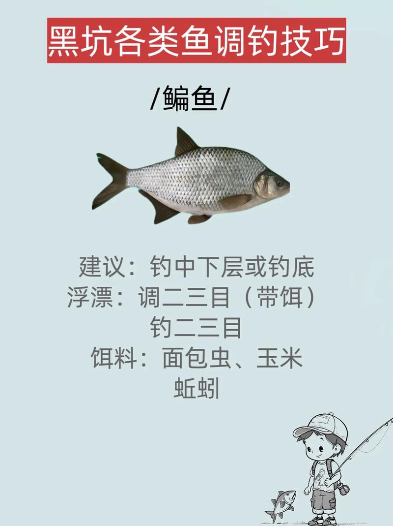 黑坑为什么禁七星漂，七星漂黑坑钓鲤鱼-第1张图片-屿企百科网