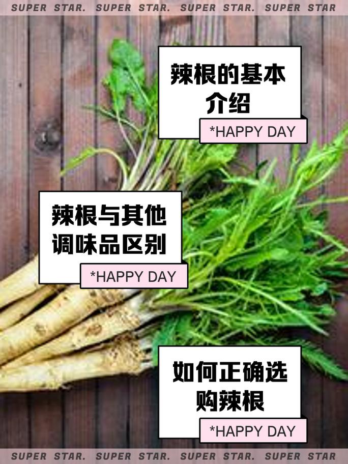 东北人说的辣根是什么,东北的辣根是什么味道-第5张图片-屿企百科网 东北人说的辣根是什么,东北的辣根是什么味道-第5张图片-屿企百科网