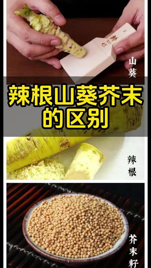 东北人说的辣根是什么,东北的辣根是什么味道-第7张图片-屿企百科网 东北人说的辣根是什么,东北的辣根是什么味道-第7张图片-屿企百科网