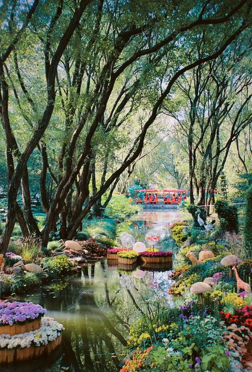 秋天去哪里旅游比较好，连云港秋天去哪里旅游比较好？