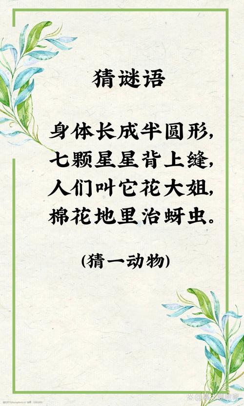 头插野鸡毛是什么动物，头上插鸡毛的是什么族-第6张图片-屿企百科网