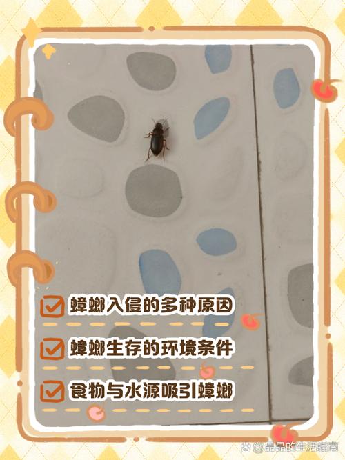 家里好多小蟑螂是什么原因？家里特别多小蟑螂怎么回事？-第1张图片-屿企百科网