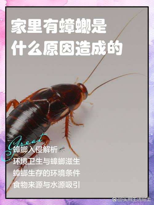 家里好多小蟑螂是什么原因？家里特别多小蟑螂怎么回事？-第3张图片-屿企百科网