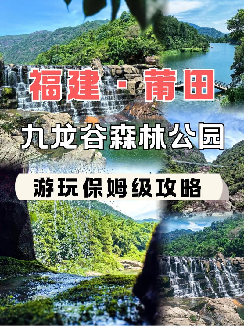 莆田九龙谷一日游攻略，莆田九龙谷一日游攻略大全？-第6张图片-屿企百科网