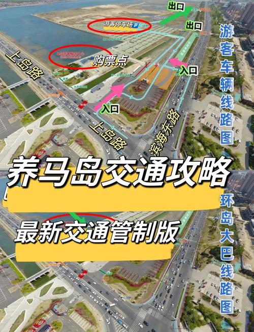 今天岛内限什么号，青岛今天限行什么车车号？-第3张图片-屿企百科网