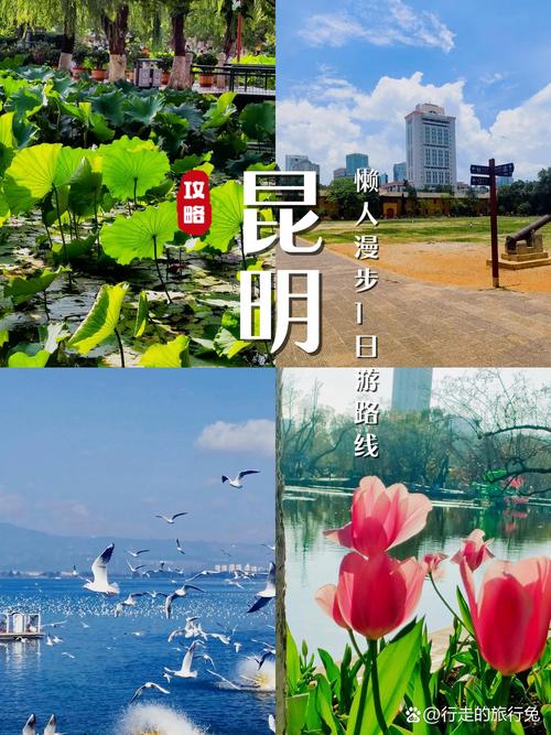 昆明最近的旅游景点，昆明最近的旅游景点有哪些-第5张图片-屿企百科网