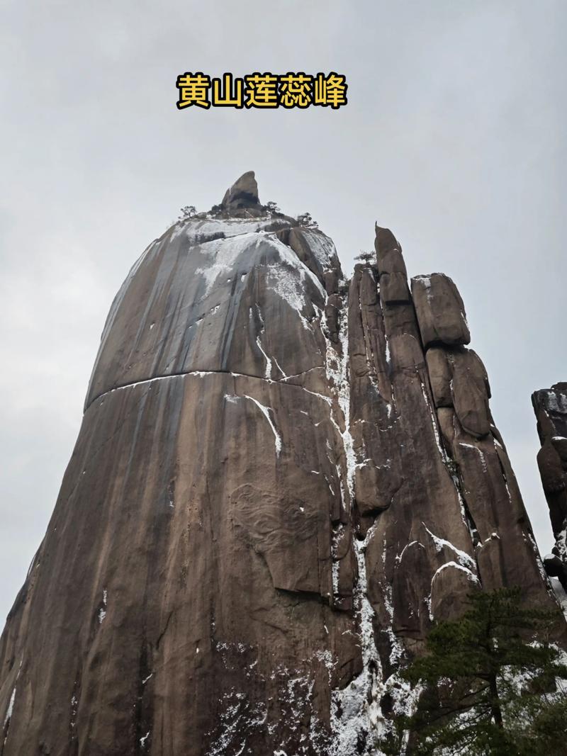 黄山旅游风景区最新消息，黄山旅游黄山风景区-第2张图片-屿企百科网