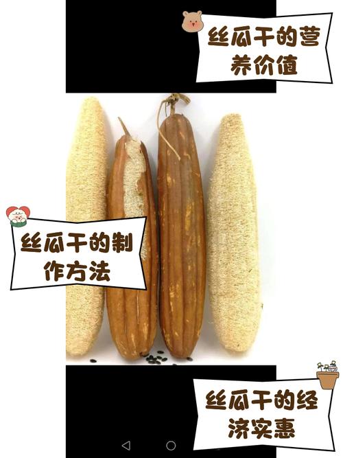 丝瓜怎么做不变黑？丝瓜怎样做不变黑？-第3张图片-屿企百科网