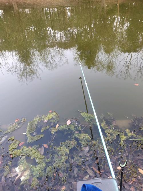 气温10可以钓鱼吗？气温10可以钓鱼吗为什么？