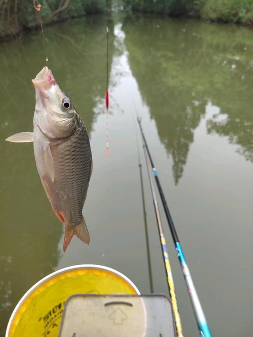 气温10可以钓鱼吗？气温10可以钓鱼吗为什么？-第3张图片-屿企百科网