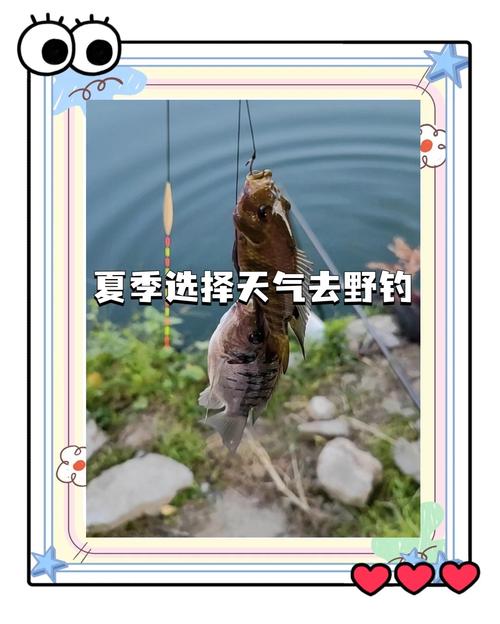 气温10可以钓鱼吗？气温10可以钓鱼吗为什么？-第7张图片-屿企百科网