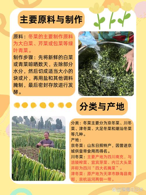 冬菜是什么菜？重庆冬菜是什么菜？-第7张图片-屿企百科网