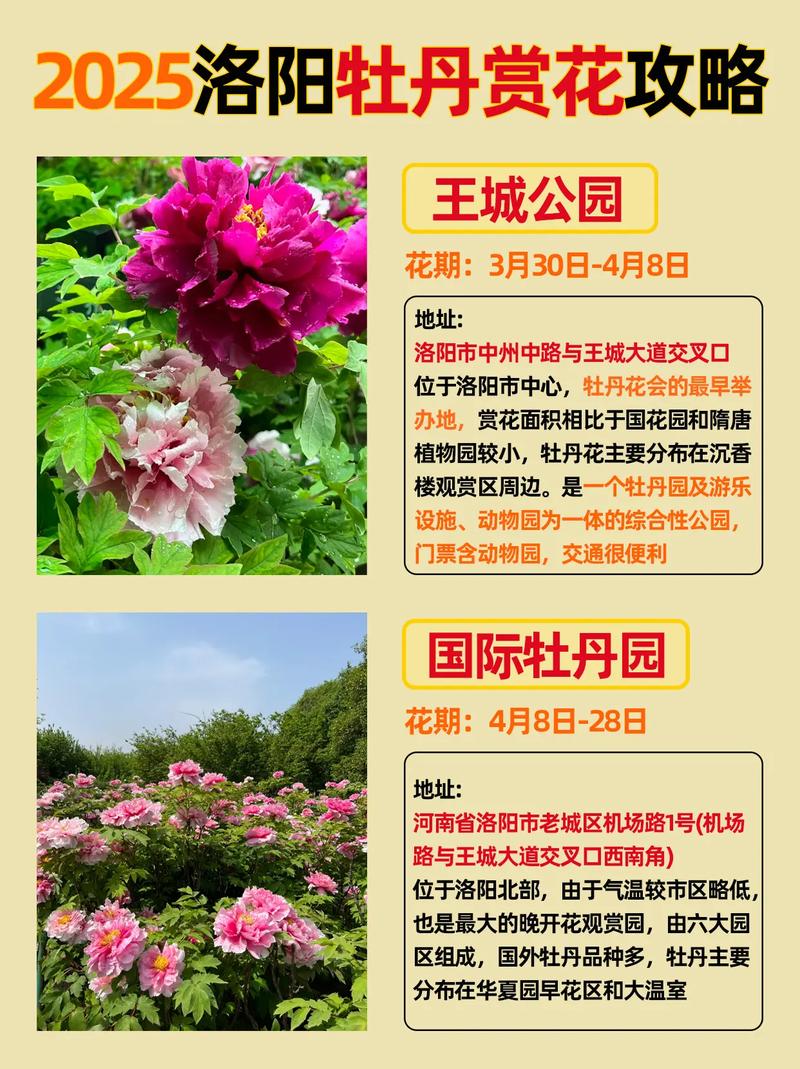 王城公园门票多少钱一张，王城公园门票多少钱一张啊-第1张图片-屿企百科网