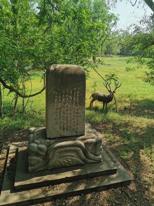 南海子郊野公园游玩攻略？南海子郊野公园游玩攻略一日游？