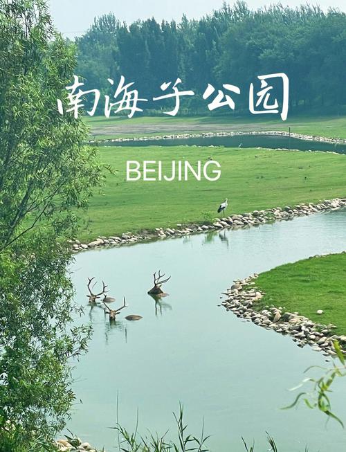 南海子郊野公园游玩攻略？南海子郊野公园游玩攻略一日游？-第6张图片-屿企百科网