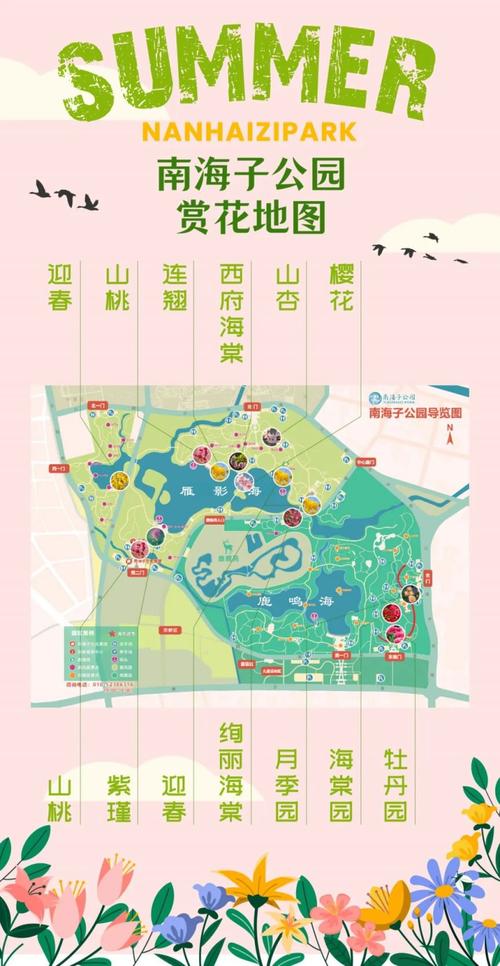 南海子郊野公园游玩攻略？南海子郊野公园游玩攻略一日游？-第7张图片-屿企百科网