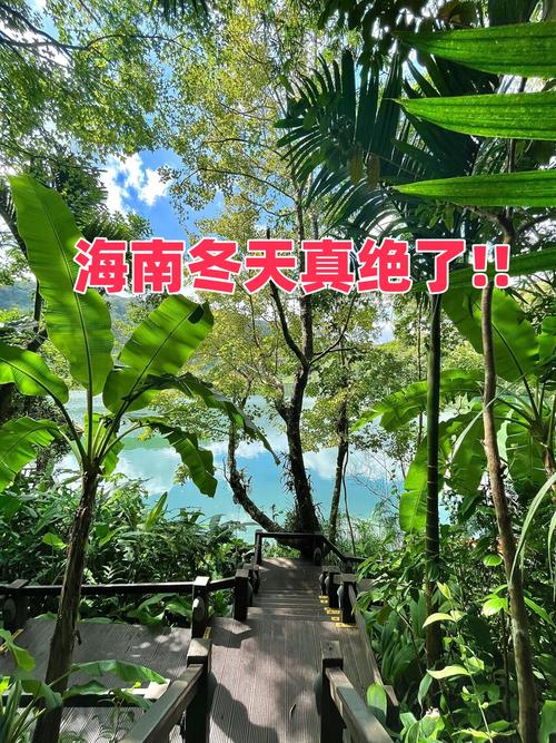 海南的气候怎么样，海南的气候特征是怎样的?？-第1张图片-屿企百科网