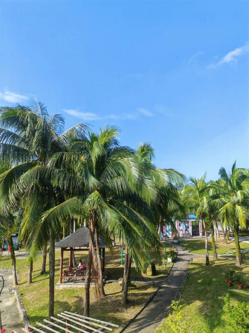 海南的气候怎么样，海南的气候特征是怎样的?？-第3张图片-屿企百科网