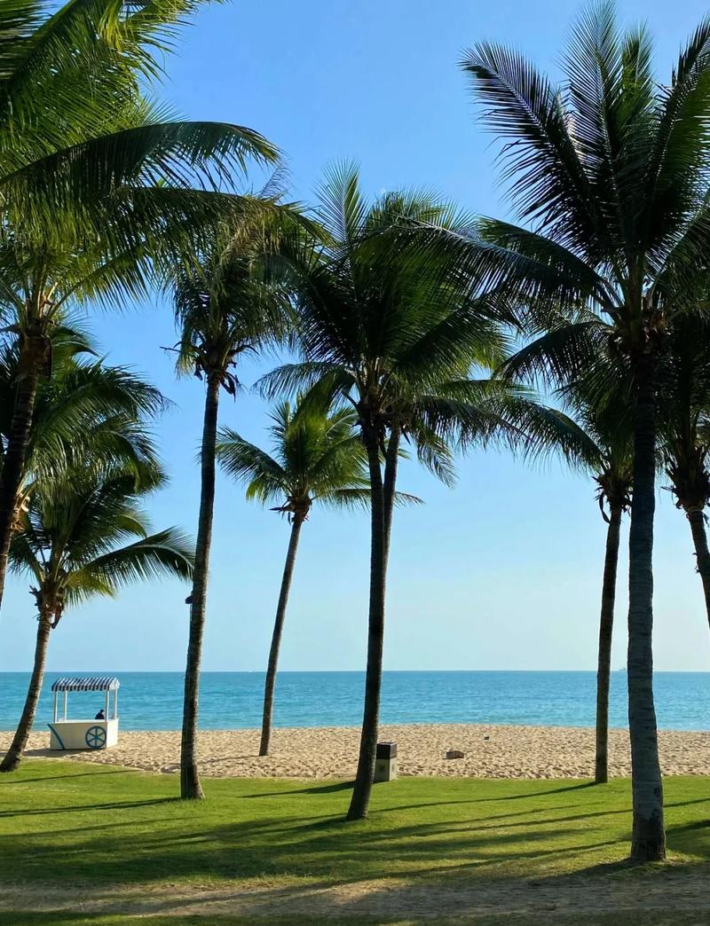 海南的气候怎么样，海南的气候特征是怎样的?？-第5张图片-屿企百科网