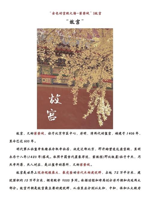 北京故宫景点详细介绍？北京故宫景点详细介绍三大殿？-第4张图片-屿企百科网