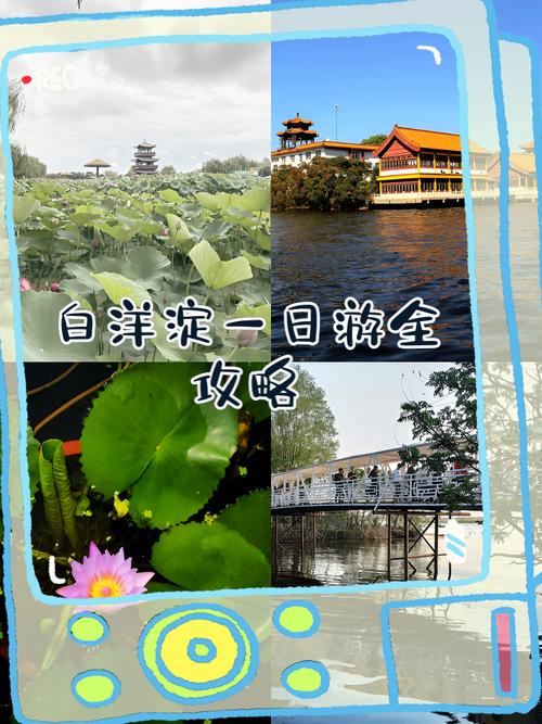 白洋淀攻略一日游，白洋淀景区一日游怎样游玩-第3张图片-屿企百科网