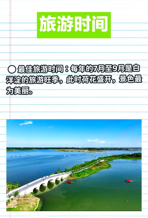 白洋淀攻略一日游，白洋淀景区一日游怎样游玩-第4张图片-屿企百科网