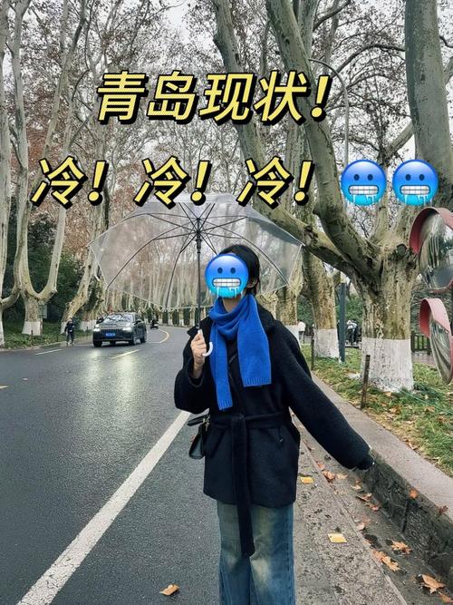 山东气候比以前冷吗，山东那边天气冷吗-第4张图片-屿企百科网