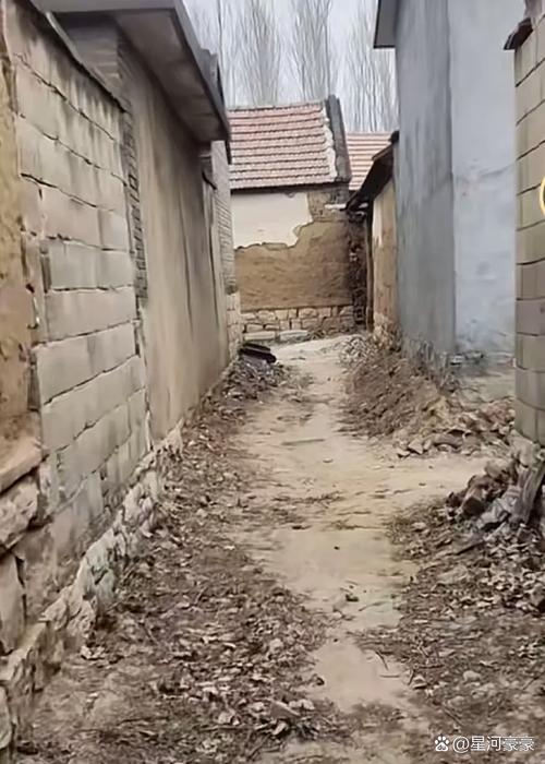 山东肥城全年最低气温?肥城历年来最冷的天气?-第3张图片-屿企百科网 山东肥城全年最低气温?肥城历年来最冷的天气?-第3张图片-屿企百科网