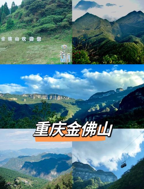 重庆金佛山景区门票多少，重庆金佛山景区在哪里-第5张图片-屿企百科网