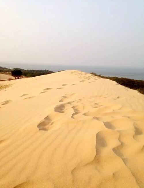 翡翠岛关闭了怎么进？翡翠岛如何进入？-第2张图片-屿企百科网