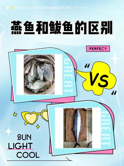 鲅鱼是什么鱼，鲅鱼圈卖的鲅鱼是什么鱼？