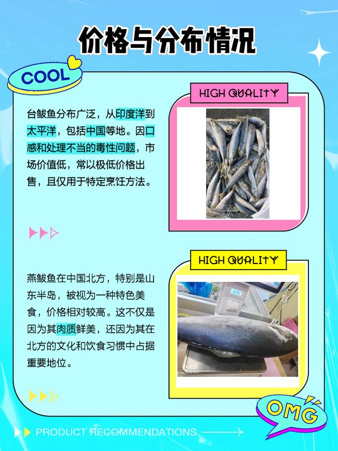 鲅鱼是什么鱼，鲅鱼圈卖的鲅鱼是什么鱼？-第3张图片-屿企百科网