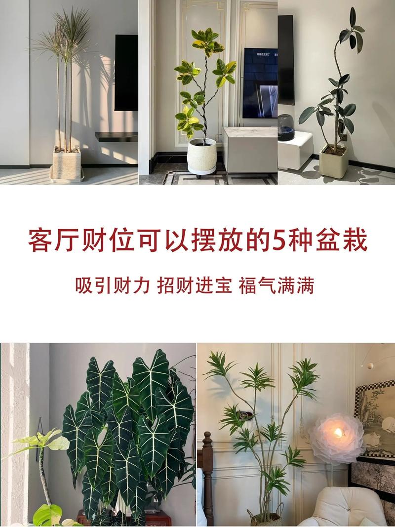 财位放什么催财比较好,招来财运的方法,财位上放什东西最招横财-第6张图片-屿企百科网 财位放什么催财比较好,招来财运的方法,财位上放什东西最招横财-第6张图片-屿企百科网