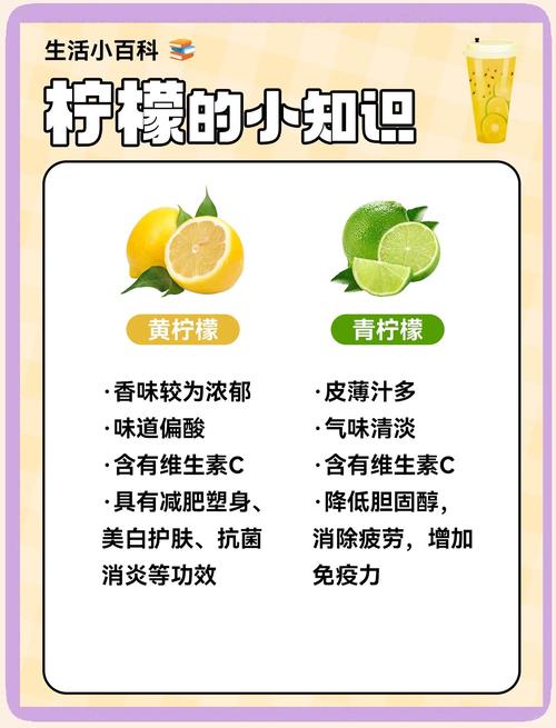 柠檬去苦味方法？柠檬片怎么去苦味？-第5张图片-屿企百科网