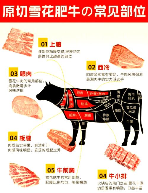 肥牛卷是什么肉？肥牛卷是哪个部位的肉？-第3张图片-屿企百科网