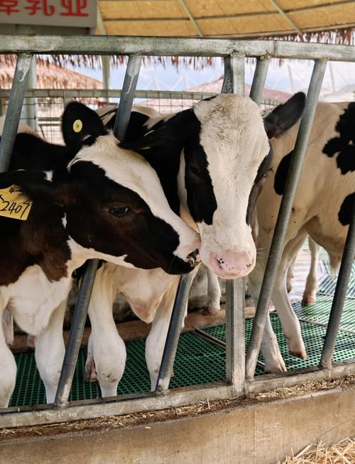 绥化历史比较高气温，黑龙江绥化全年气温？-第2张图片-屿企百科网