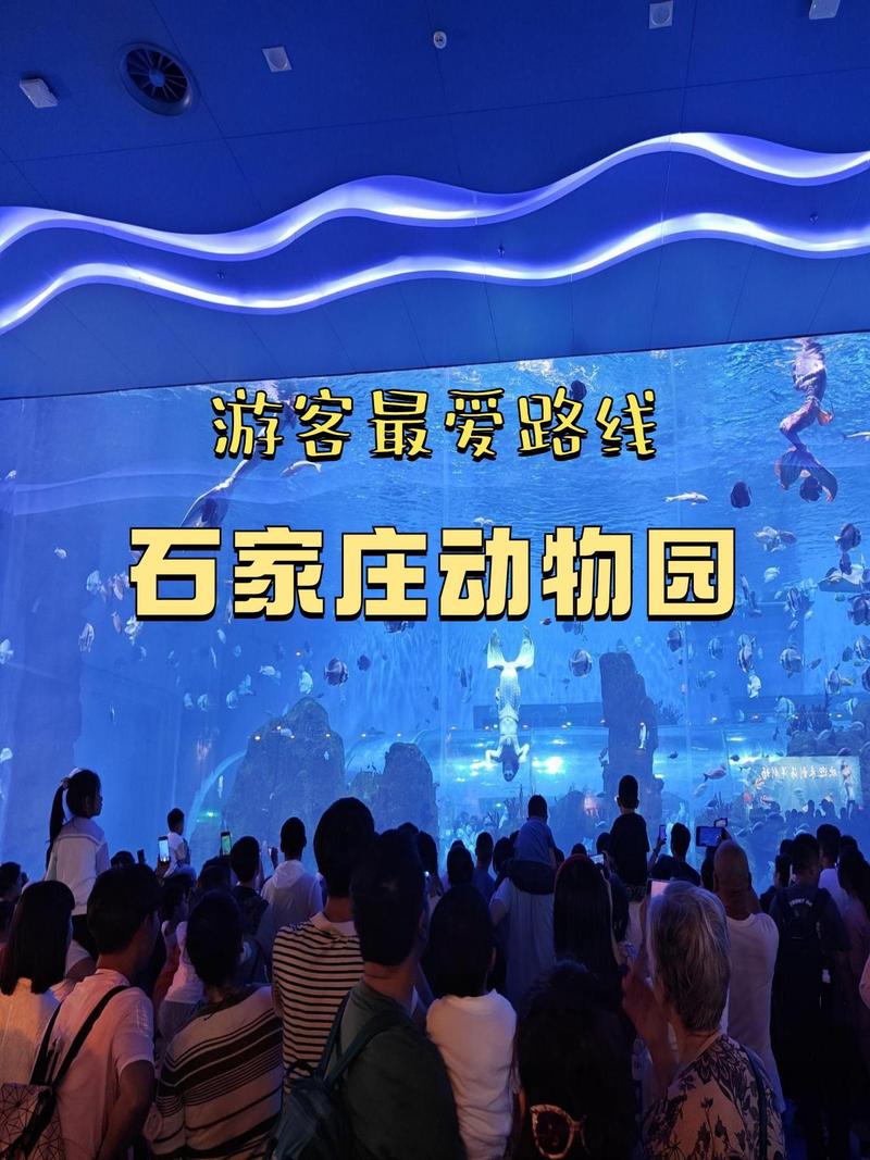 石家庄动物园开放时间及门票，石家庄动物园开放时间及门票费用-第2张图片-屿企百科网