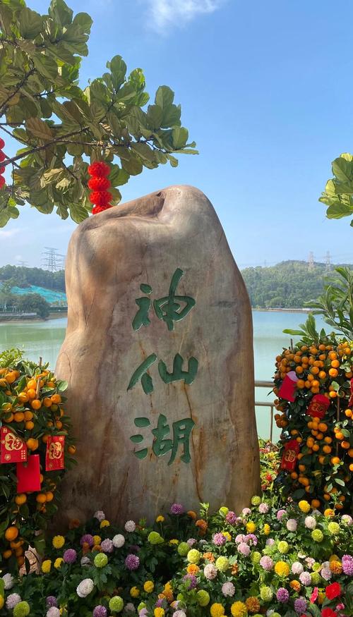 深圳周边游哪里好玩,深圳周边游哪里好玩一日游?-第8张图片-屿企百科网 深圳周边游哪里好玩,深圳周边游哪里好玩一日游?-第8张图片-屿企百科网