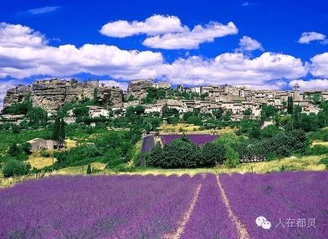 普罗旺斯是哪个国家的，普罗旺斯是哪个国家的什么故事-第6张图片-屿企百科网
