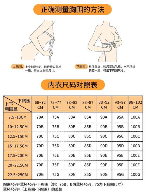 内衣34/75是什么意思，3475属于多大的胸？-第5张图片-屿企百科网