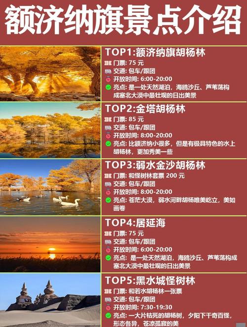 额济纳胡杨林景区门票，额济纳胡杨林景区游玩攻略-第4张图片-屿企百科网