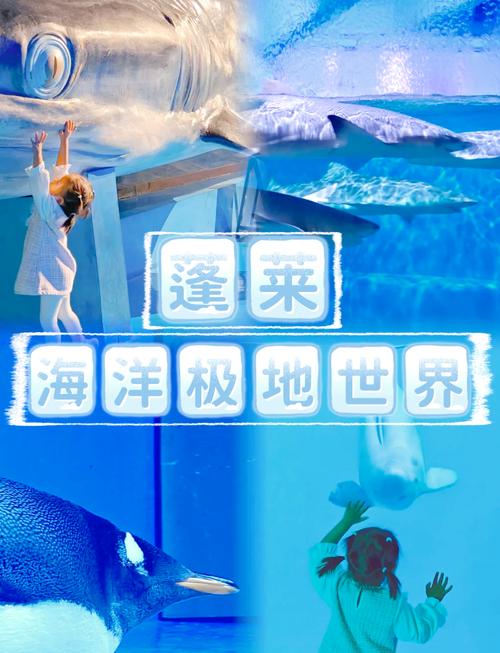 蓬莱海底世界门票团购，蓬莱海底世界门票团购怎么买-第2张图片-屿企百科网