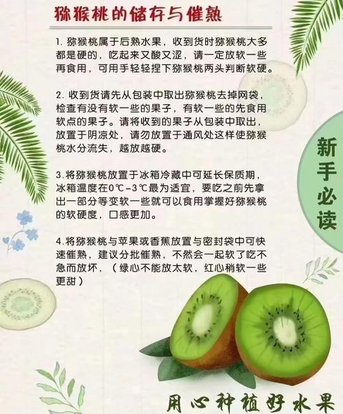 猕猴桃最佳保存方法？猕猴桃最佳保存方法图片？-第3张图片-屿企百科网