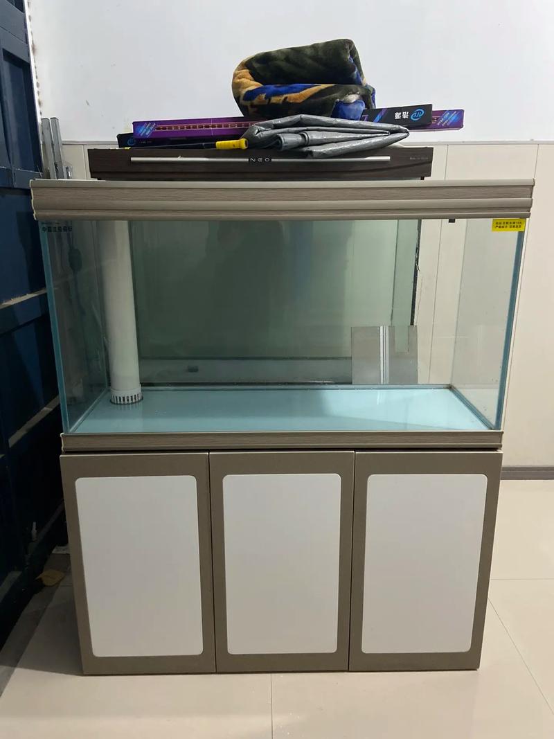 遵化18号限什么号？遵化限号表？-第1张图片-屿企百科网