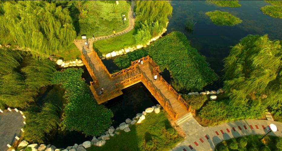 定兴国泰街限号吗吗，定兴国泰商城电话-第2张图片-屿企百科网