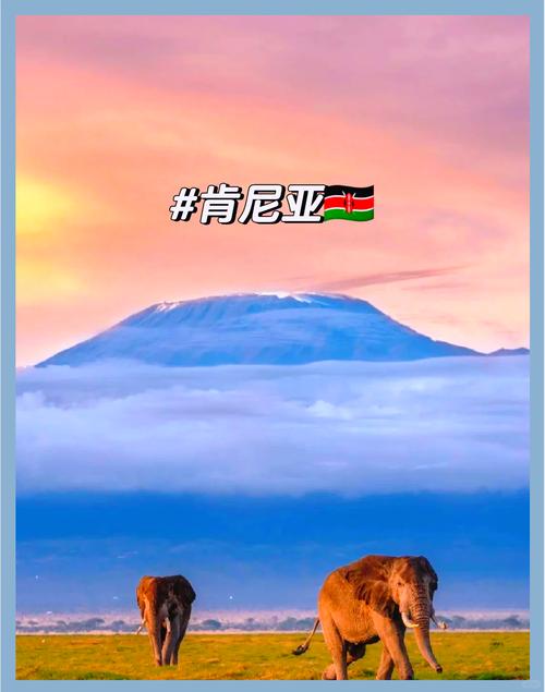 肯尼亚旅游最佳时间，肯尼亚旅游旺季？-第6张图片-屿企百科网