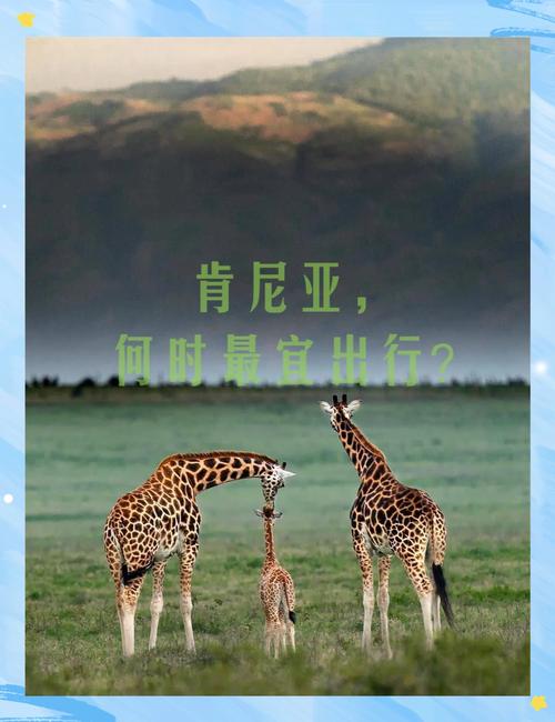 肯尼亚旅游最佳时间，肯尼亚旅游旺季？-第8张图片-屿企百科网