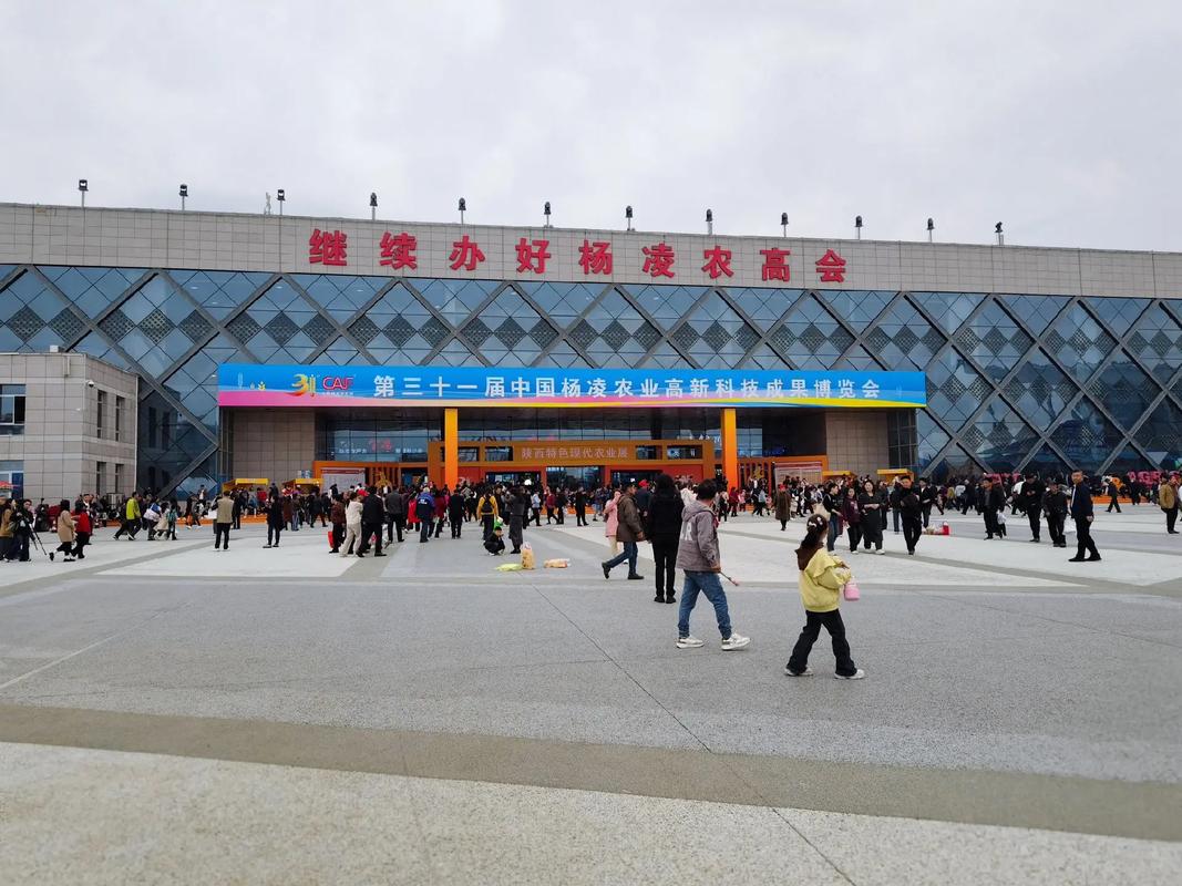 2019陕西杨凌限号吗，2020年杨凌限号查询今天-第4张图片-屿企百科网